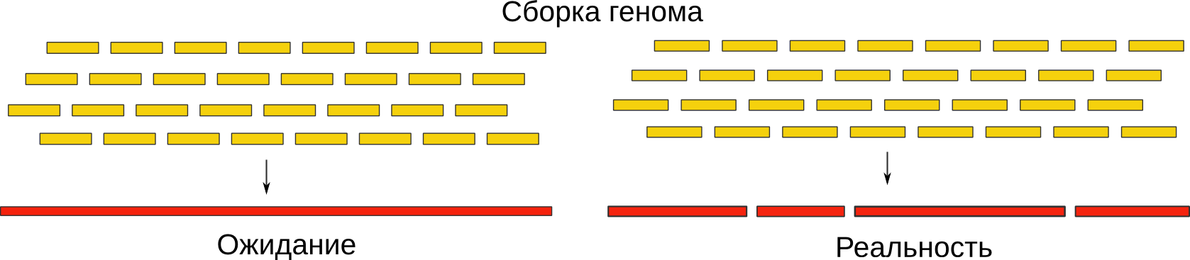 Финиширование генома: быстро, качественно, недорого