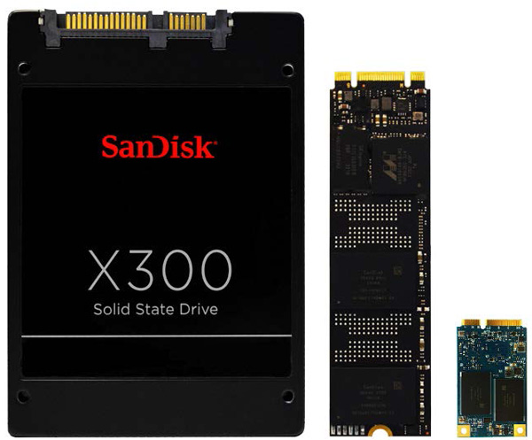 SanDisk X300