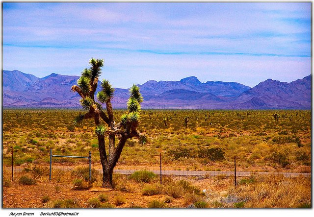 Как убеждать людей в сети: семнадцать малоизвестных джедайских трюков Как убеждать людей в сети: семнадцать малоизвестных джедайских трюков