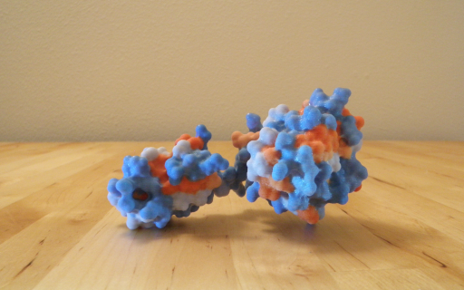 3D печать моделей молекул белка
