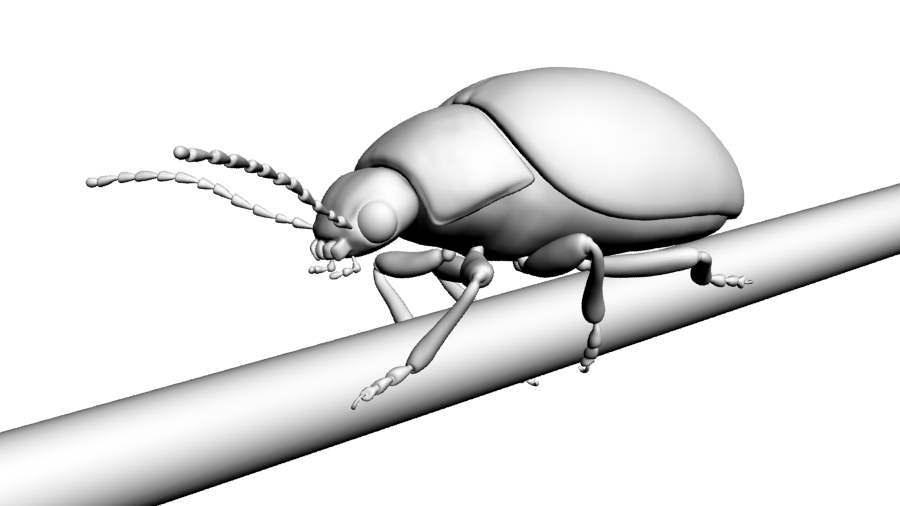 Моделирование жука