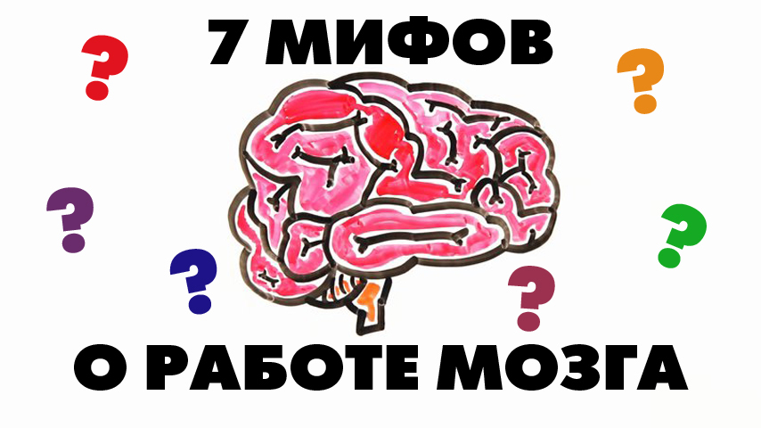 7 мифов о работе мозга