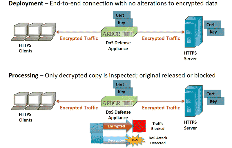 Bitcoin Dark Web