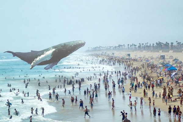 Magic Leap