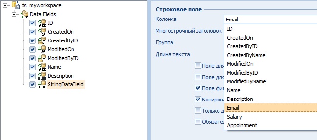 Terrasoft CRM: руководство разработчика