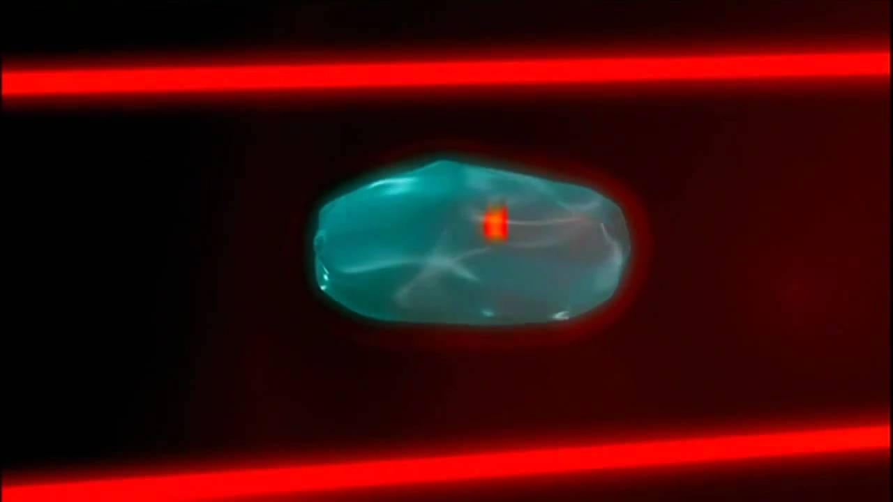 Ученым удалось снизить скорость света до 20 км ч Ученым удалось снизить скорость света до 20 км ч