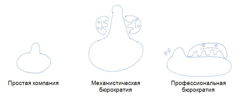 Три вида организации