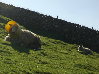Теория модерирования Теория модерирования