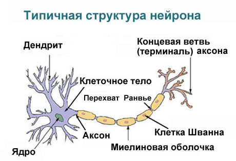 Перенос сознания на иной носитель методом «киберзамещения» - 1