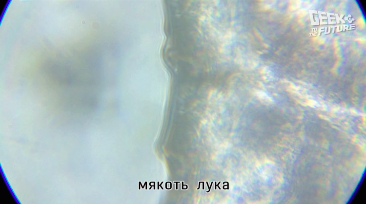 MicrobeScope: таращимся на инфузорий - 9 MicrobeScope: таращимся на инфузорий - 9