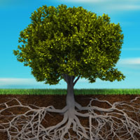 Создаем собственные виджеты в Dojo - 3 Создаем собственные виджеты в Dojo - 3