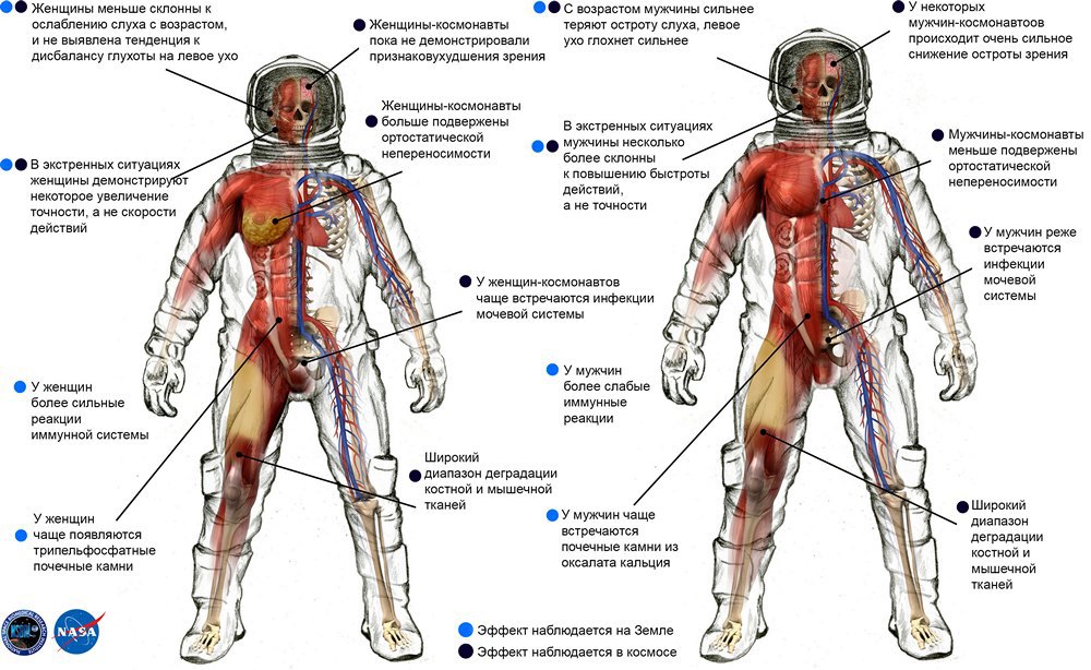 Как длительная невесомость влияет на мужчин и женщин - 1