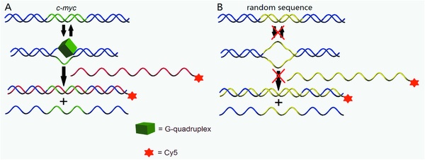 Запись данных в ДНК кишечной палочки - 3 image