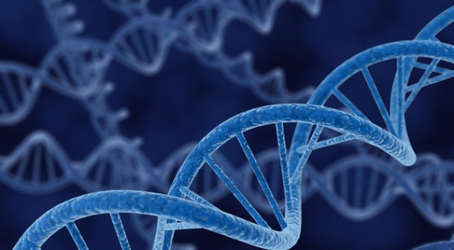 Запись данных в ДНК кишечной палочки - 1 image