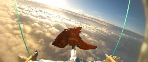 Отбивная из баранины побывала в космосе - 1 Отбивная из баранины побывала в космосе