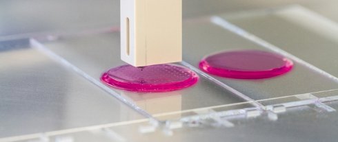 Российский робот займётся выращиванием живых клеток - 1 Российский робот займётся выращиванием живых клеток