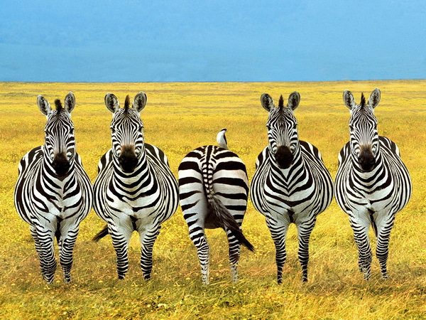 Что мешает аутсорсерам быть лучше штатного админа - 6