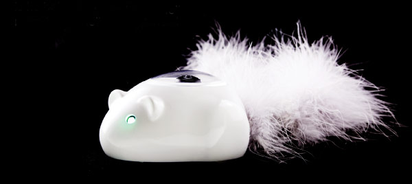 Первые участники сбора средств могли получить робота-мышь Mousr за $100