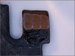 Обзор цифрового USB-микроскопа Levenhuk DTX90 - 58