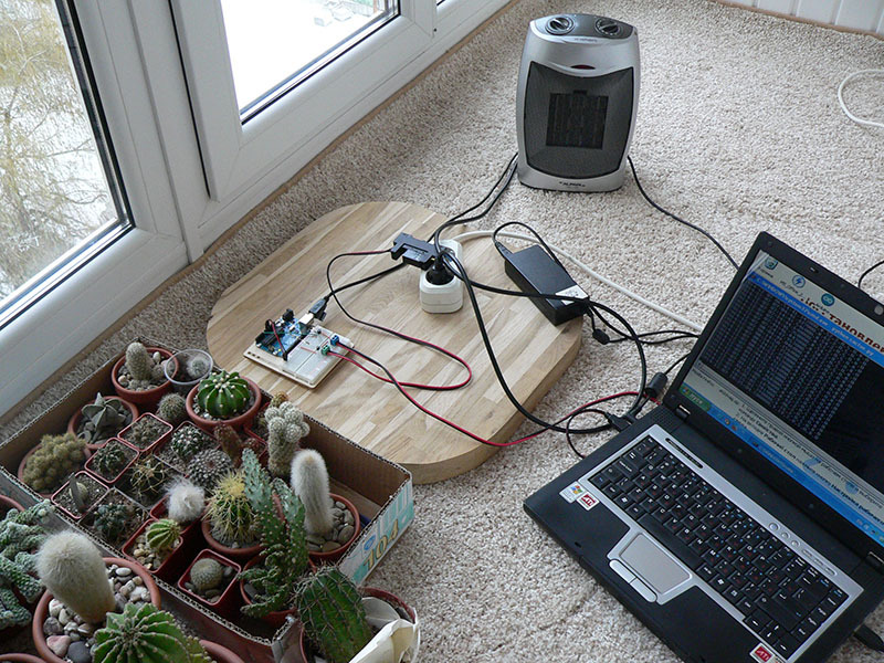 фотография зимовника кактусов с контролем температуры на Arduino