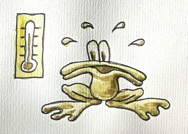 Теория категорий для программистов: предисловие - 1 image