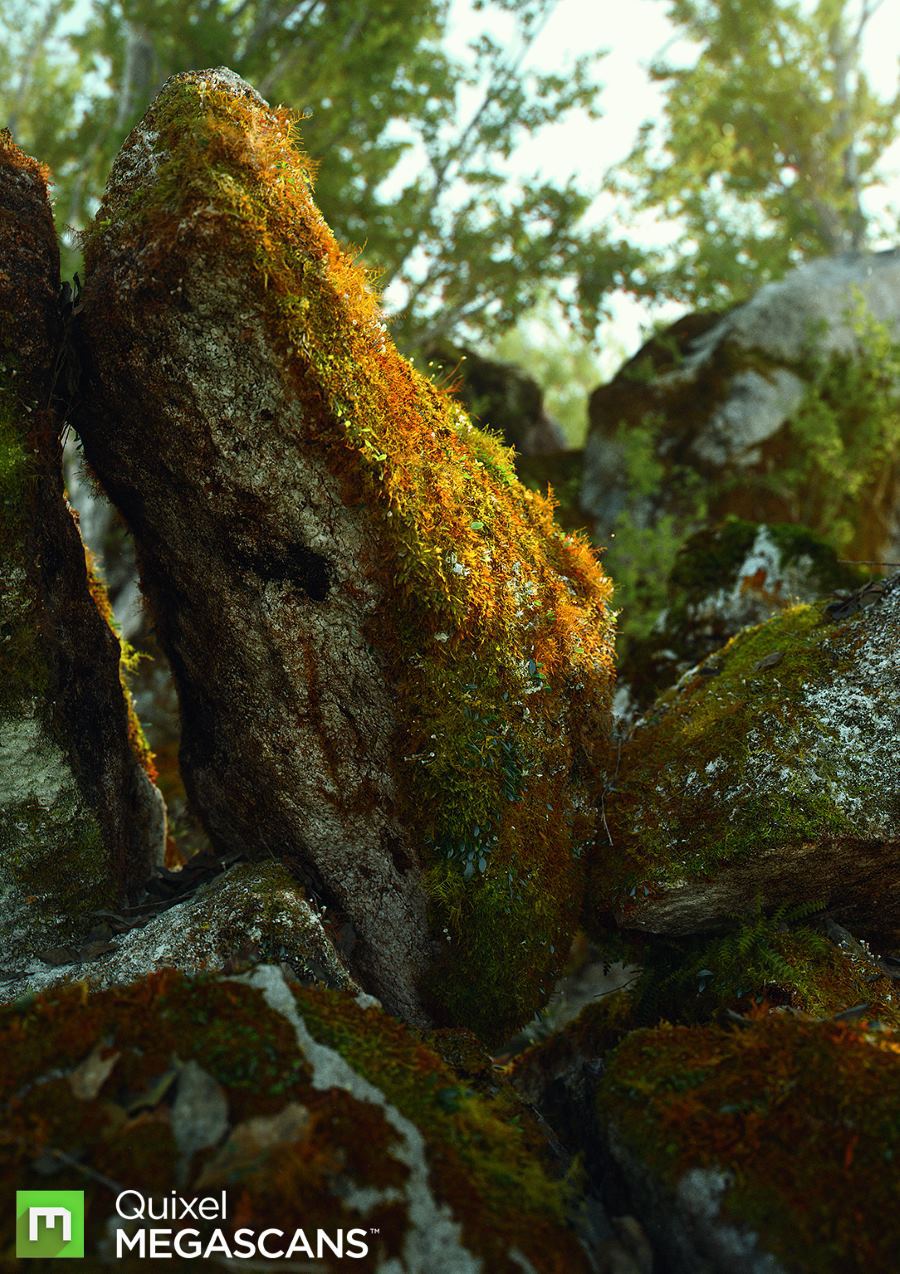 Megascans: онлайн-библиотека текстур и объектов в качестве 4-16К от Quixel - 2 Megascans: онлайн-библиотека текстур и объектов в качестве 4-16К от Quixel - 2