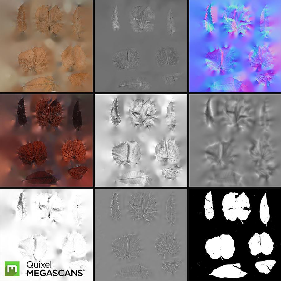 Megascans: онлайн-библиотека текстур и объектов в качестве 4-16К от Quixel - 3