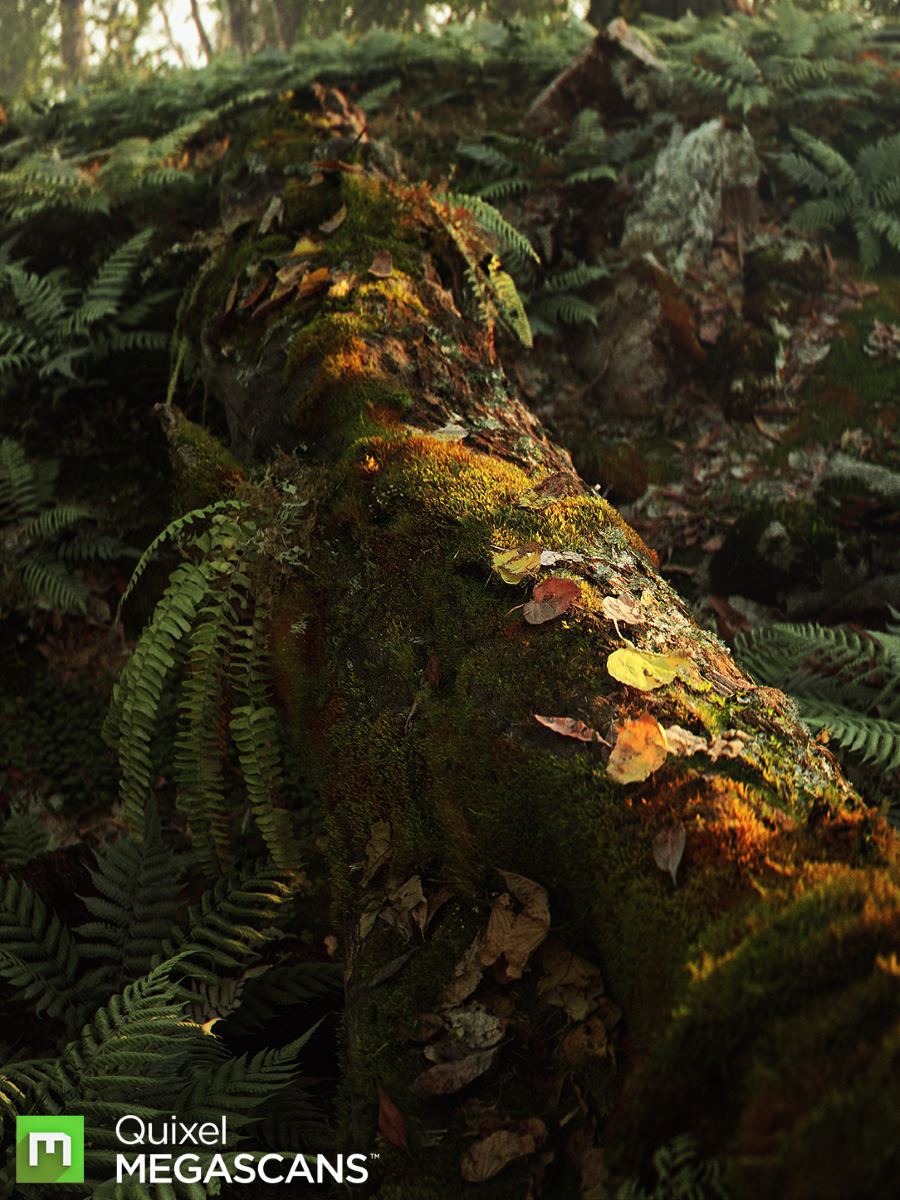 Megascans: онлайн-библиотека текстур и объектов в качестве 4-16К от Quixel - 1 Megascans: онлайн-библиотека текстур и объектов в качестве 4-16К от Quixel - 1