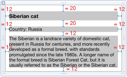 Auto Layout с переменным набором элементов - 1