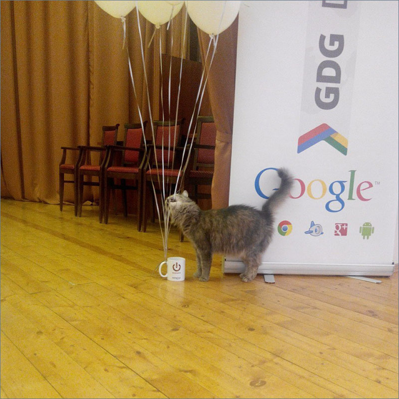 GDG DevFest Воронеж 2014: фотоотчет и впечатления - 2