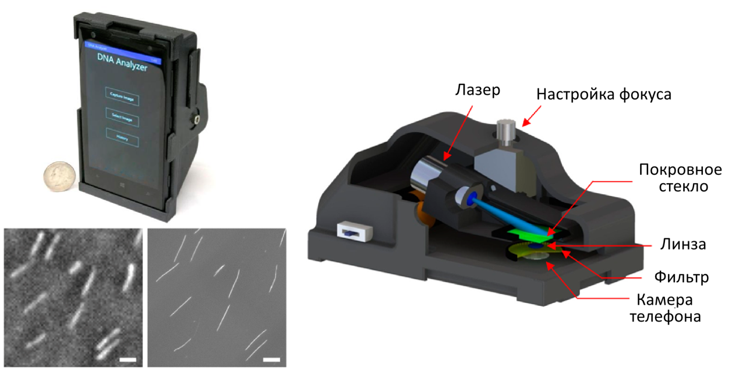Флуоресцентный микроскоп из мобильного телефона - 1