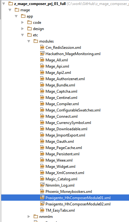 Разработка Magento-модулей с развертыванием приложения через Magento Composer - 2