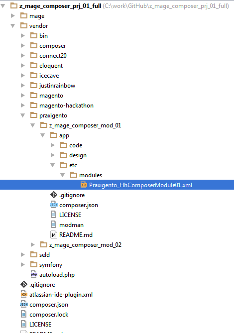 Разработка Magento-модулей с развертыванием приложения через Magento Composer - 1
