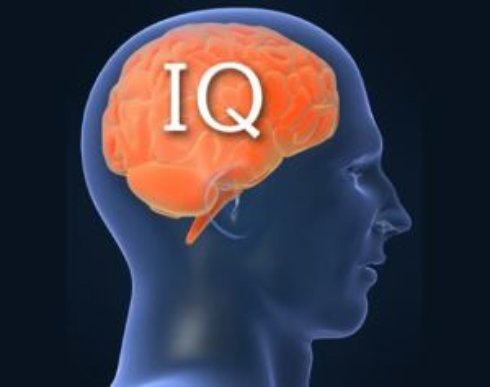 Чем занимаются люди с IQ выше 150? - 1 Чем занимаются люди с IQ выше 150?