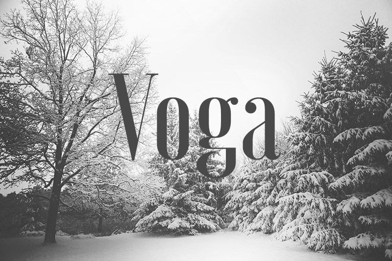 Потрясающая коллекция бесплатных шрифтов за 2014 год - 23 Voga