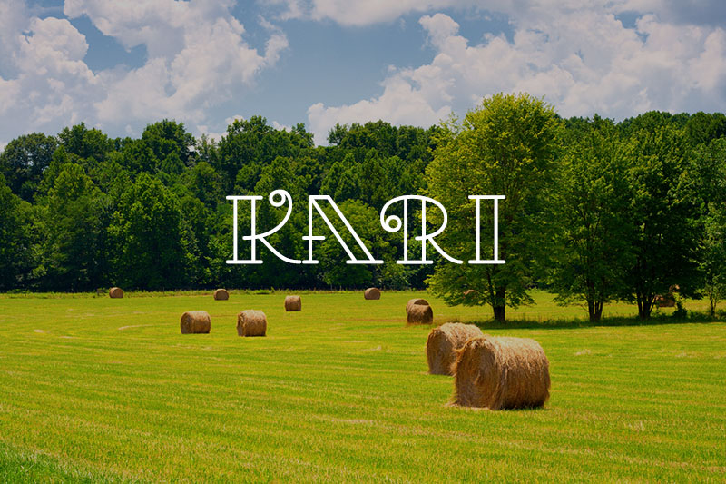 Потрясающая коллекция бесплатных шрифтов за 2014 год - 6 Kari