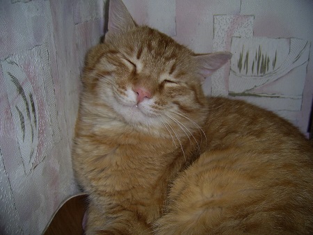 Задача коммуникации между вкладками и выявления активной вкладки - 2 Задача коммуникации между вкладками и выявления активной вкладки - 2