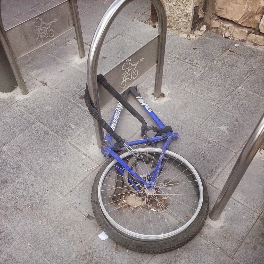 Учеба по программе МАСА в Израиле - 19 Учеба по программе МАСА в Израиле - 19