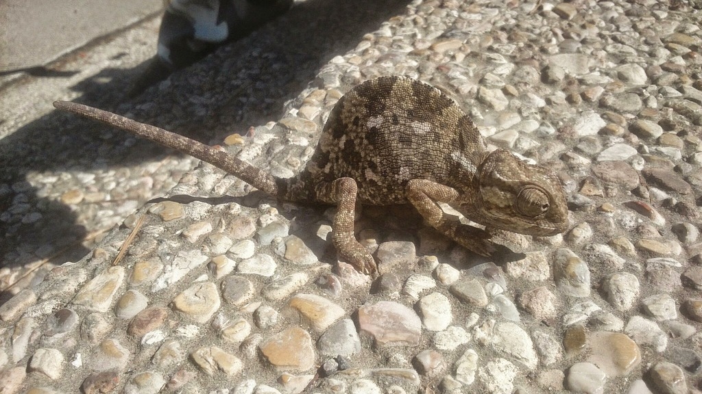 Учеба по программе МАСА в Израиле - 29 Учеба по программе МАСА в Израиле - 29