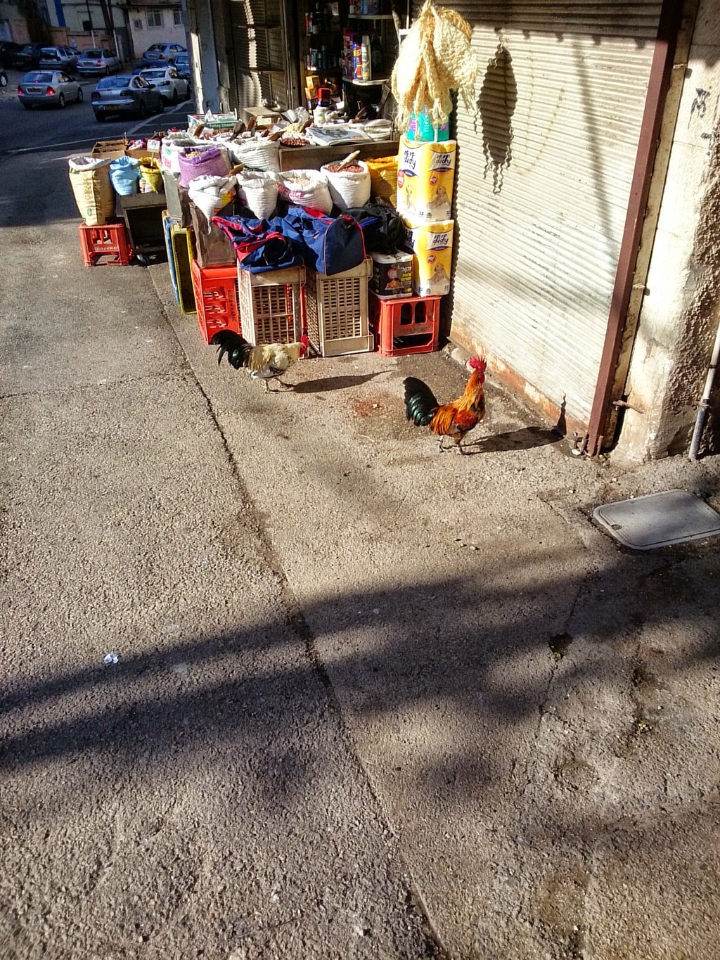 Учеба по программе МАСА в Израиле - 4 Учеба по программе МАСА в Израиле - 4