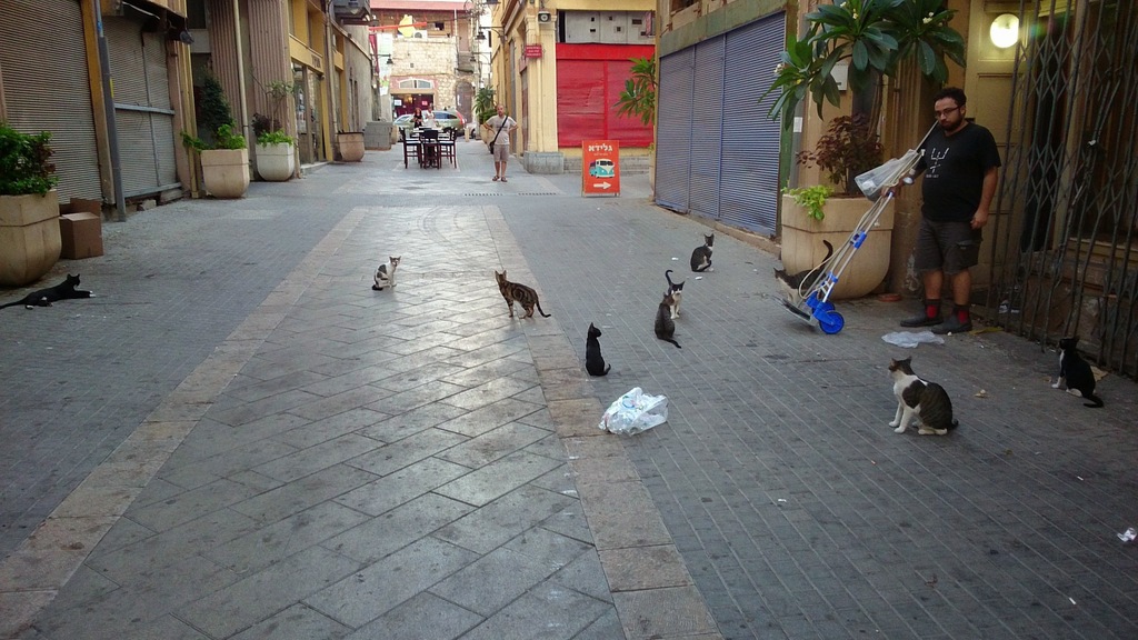 Учеба по программе МАСА в Израиле - 1 Учеба по программе МАСА в Израиле - 1