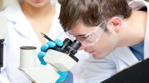 Жителям Земли угрожают новые паразиты - 1 Жителям Земли угрожают новые паразиты