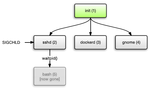 Init. Init это изображение. Dockerd. Рождение зомби процесса в Linux. Init process