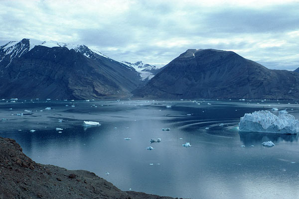 Ожидается, что GPU Arctic Islands будут выпускаться по нормам 16 или 14 нм