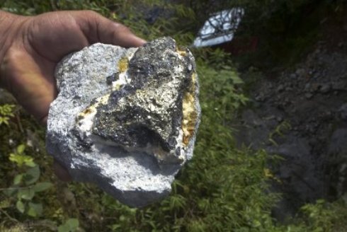 Бактерии создали крупнейшее месторождение золота на Земле