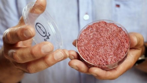 Мясо, напечатанное на 3D принтере, станет сенсацией