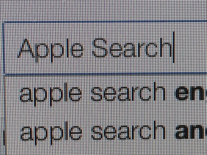 Возможно, Apple запустит поисковую систему - 1
