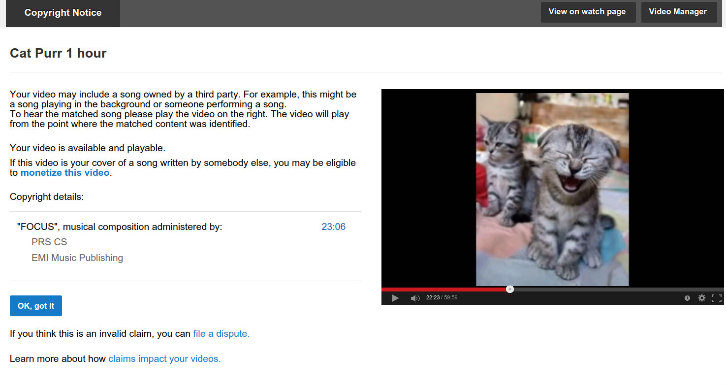 YouTube пометил ролик с мурчаньем кота как нарушение музыкального копирайта - 2