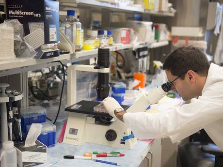 Учёные перечислили 12 возможных причин исчезновения цивилизации - 9 image