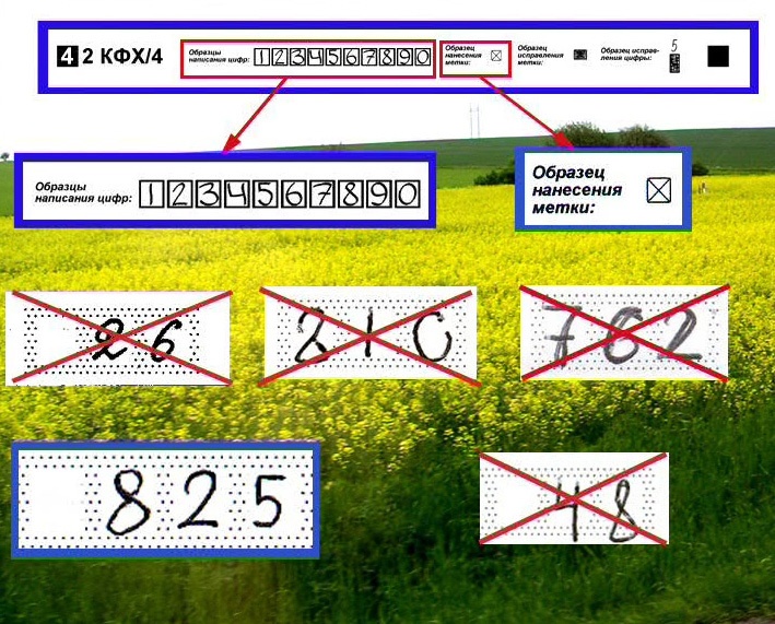 Всероссийская перепись населения: как тоссятся ваши данные - 5